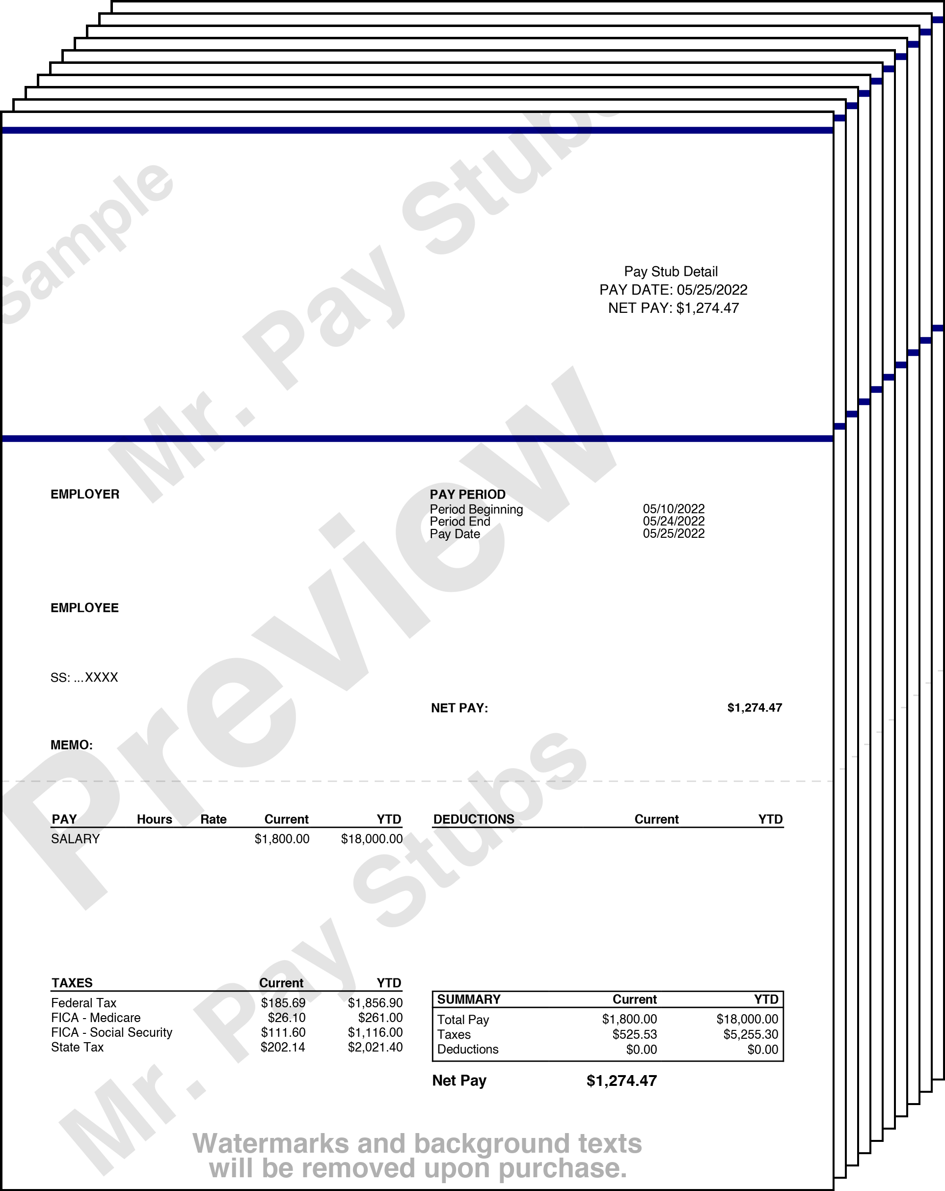 Pay Stub Preview