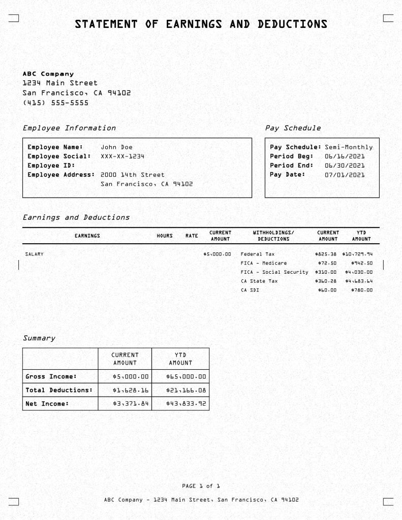 Pay Stub Template Professional